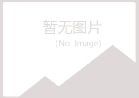 北京女孩邮政有限公司